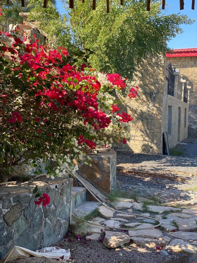 Uae Farm Villa Qur Kültér fotó